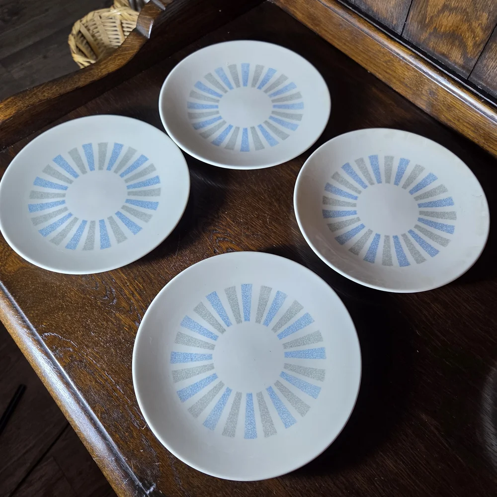 Homer Laughlin Blue and White Dinnerware Set